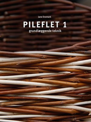 cover image of Pileflet 1